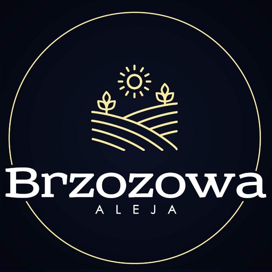 Villa Brzozowa Aleja à Radawa Extérieur photo
